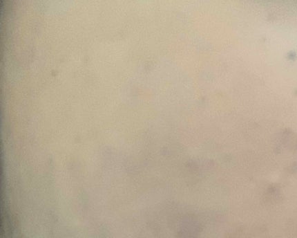 ブライトピュアベース/CandyDoll/化粧下地を使ったクチコミ(4枚目)