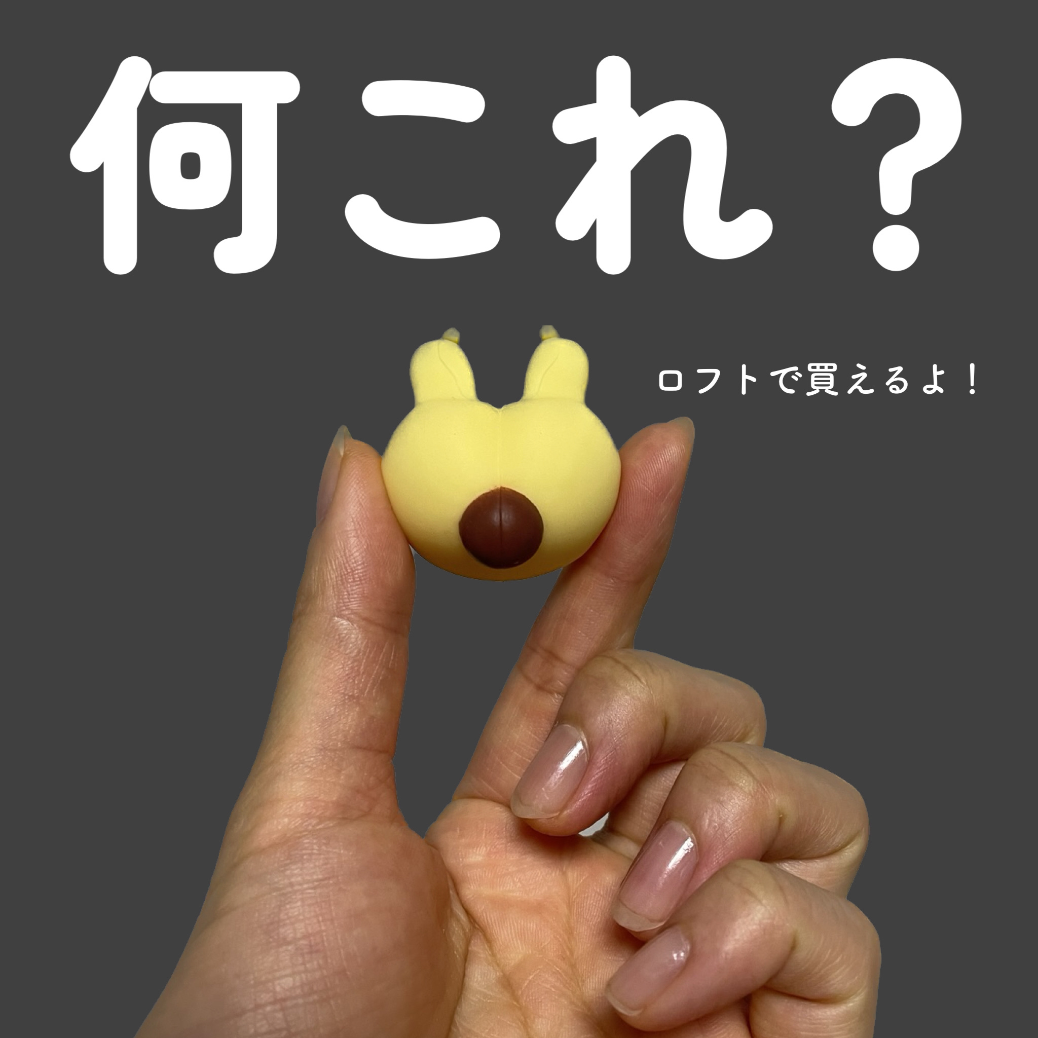 ハグプチノーズ ベア/ビューティーワールド/その他を使ったクチコミ（1枚目）