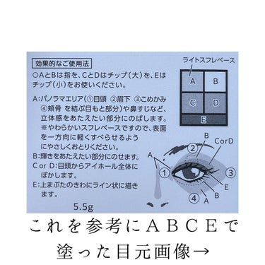 パノラマデザイン アイパレット/Visée/パウダーアイシャドウを使ったクチコミ（5枚目）