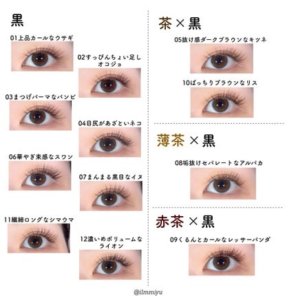 ドーリーウインク サロンアイラッシュ/ドーリーウインク/つけまつげを使ったクチコミ(9枚目)