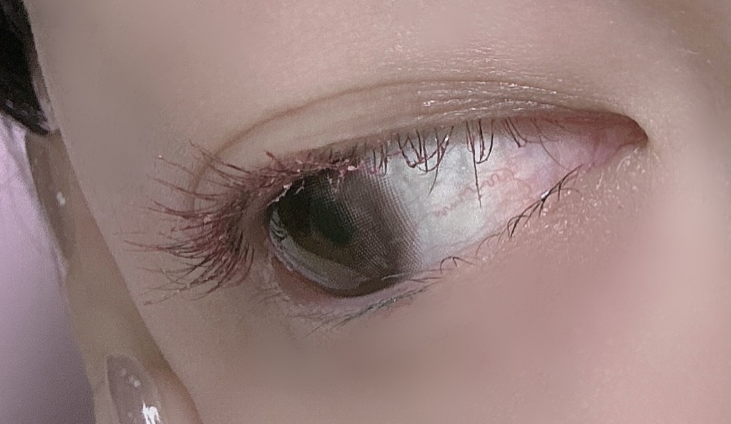 ラッシュエキスパンダー ロングロングロング ＥＸ （フローティング） 20 シャンパンピンク/MAJOLICA MAJORCA/マスカラを使ったクチコミ（3枚目）