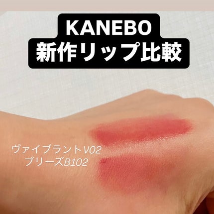 ケイト リップモンスター/KATE/口紅を使ったクチコミ(1枚目)