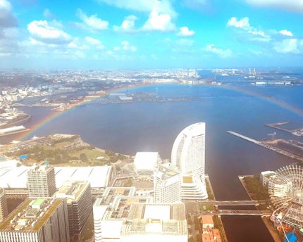 リップスティック LE/IPSA/口紅を使ったクチコミ(4枚目)