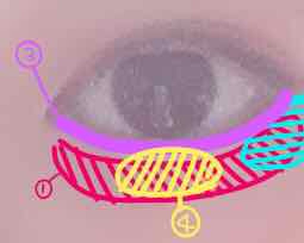 ティアー アイライナー/ETUDE/リキッドアイライナーを使ったクチコミ（3枚目）