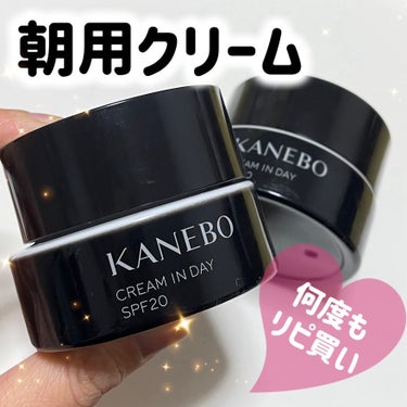 クリーム　イン　デイ/KANEBO/フェイスクリームを使ったクチコミ（1枚目）