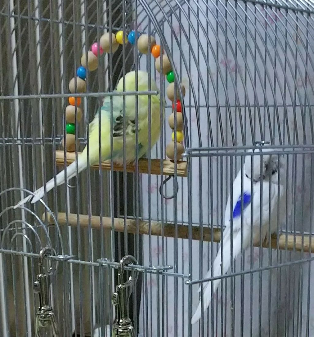 その他/その他を使ったクチコミ（1枚目）