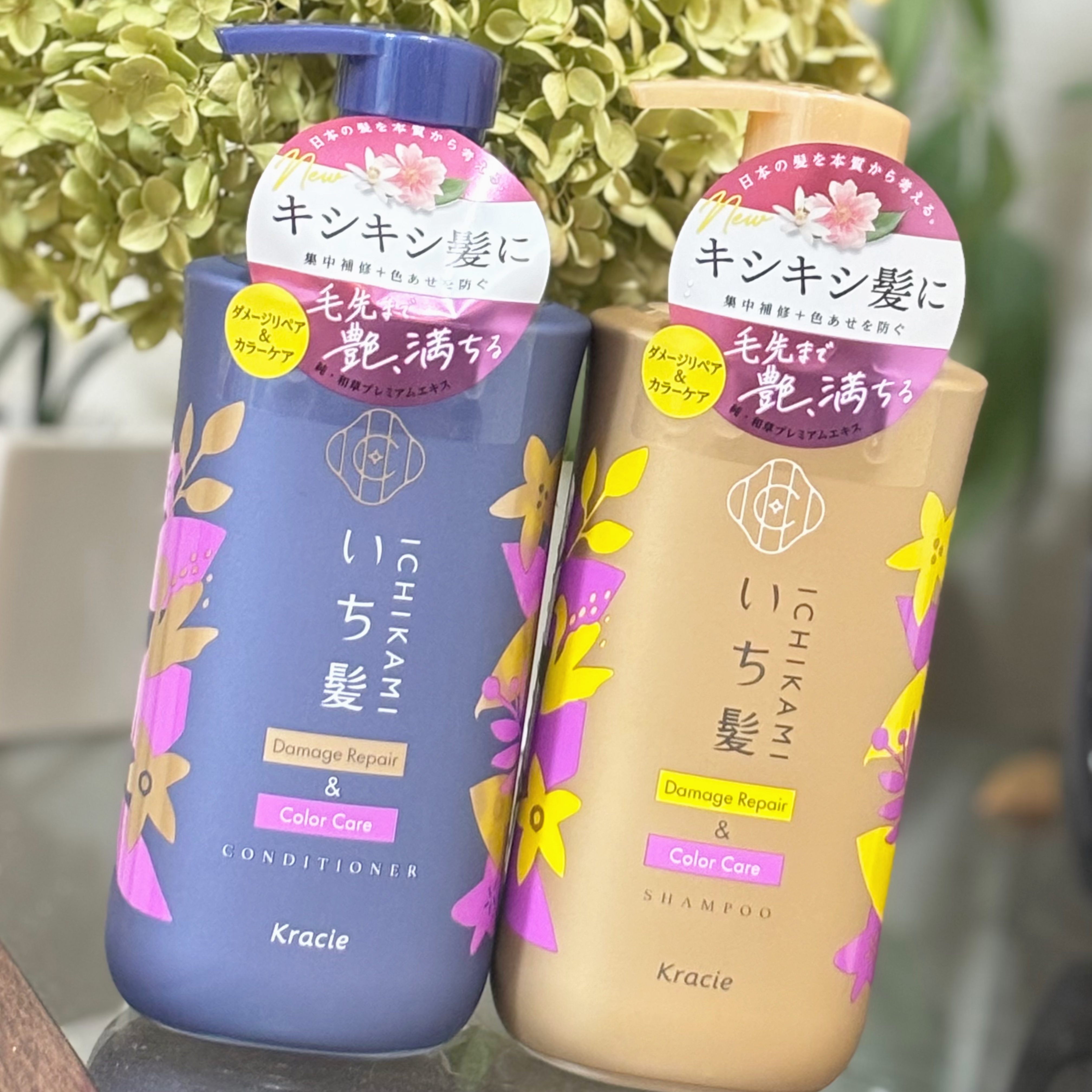 ダメージリペア＆カラーケア シャンプー/コンディショナー/いち髪/市販シャンプーを使ったクチコミ（1枚目）