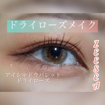 クォーツ 9色アイシャドウパレット(ドリームランドアイシャドウ)/ZEESEA/アイシャドウパレットを使ったクチコミ(1枚目)