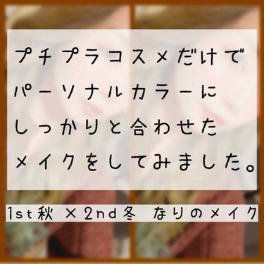 パーフェクトマルチアイズ/キャンメイク/パウダーアイシャドウを使ったクチコミ（1枚目）