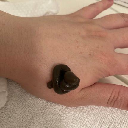 泥ジェル洗顔/ファンケル/その他洗顔料を使ったクチコミ(4枚目)