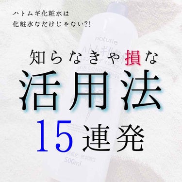 ハトムギ化粧水(ナチュリエ スキンコンディショナー R )/ナチュリエ/化粧水を使ったクチコミ（1枚目）