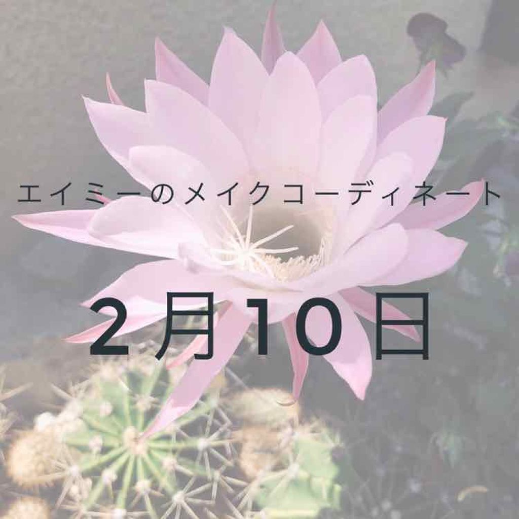 チーク カラー(ブラシ付) 740 ブラウン系/ちふれ/パウダーチークを使ったクチコミ（1枚目）