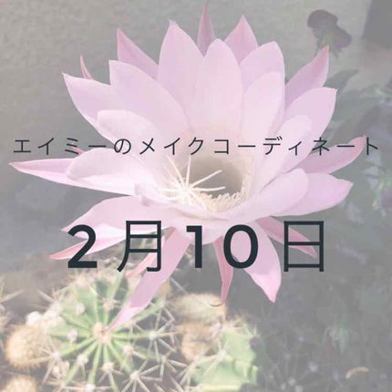 チーク カラー(ブラシ付)/ちふれ/パウダーチークを使ったクチコミ(1枚目)