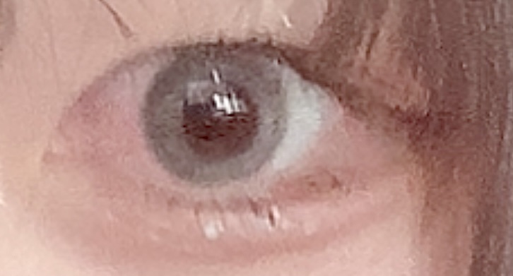 エティア ジュレワンデー ライチジュレ/Etia./ワンデー（１DAY）カラコンを使ったクチコミ（1枚目）