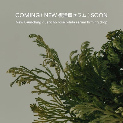 復活草ビフィダセラムファーミングドロップ/Abib /美容液を使ったクチコミ(1枚目)