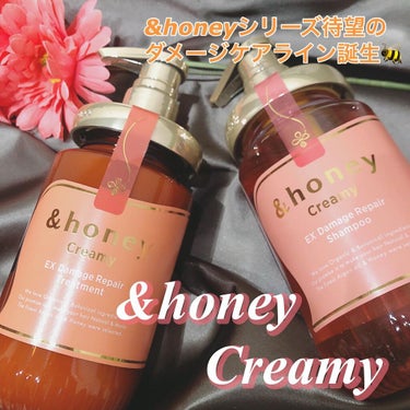 Creamy EXダメージリペアシャンプー1.0/ヘアトリートメント2.0/&honey/シャンプー・コンディショナーを使ったクチコミ（1枚目）