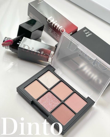 ブラーフィニシュシャドウパレット/Dinto/アイシャドウパレットを使ったクチコミ(1枚目)