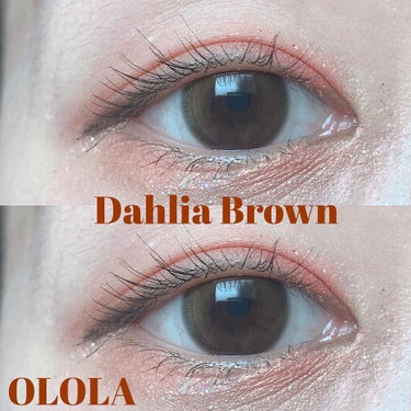 ダリアブラウンマンスリー (DAHLIA BROWN monthly)/OLOLA/１ヶ月（１MONTH）カラコンを使ったクチコミ（1枚目）