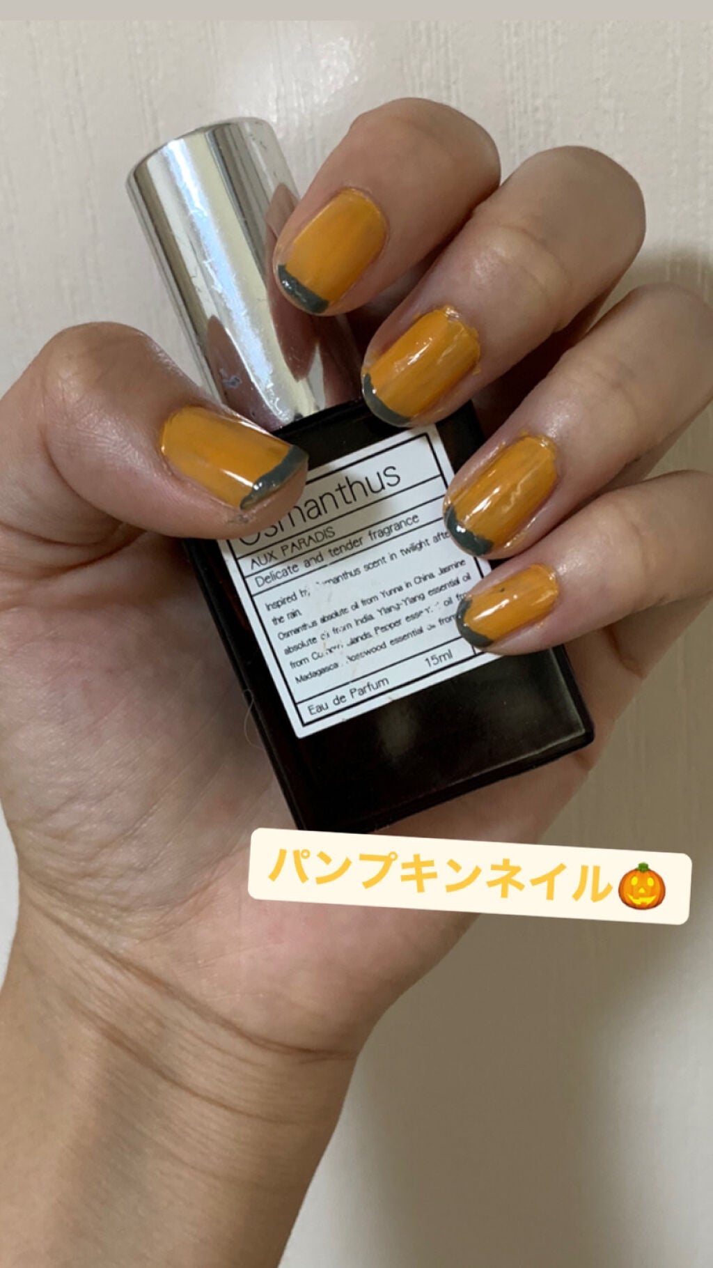 カラフルネイルズ/キャンメイク/マニキュアを使ったクチコミ(1枚目)