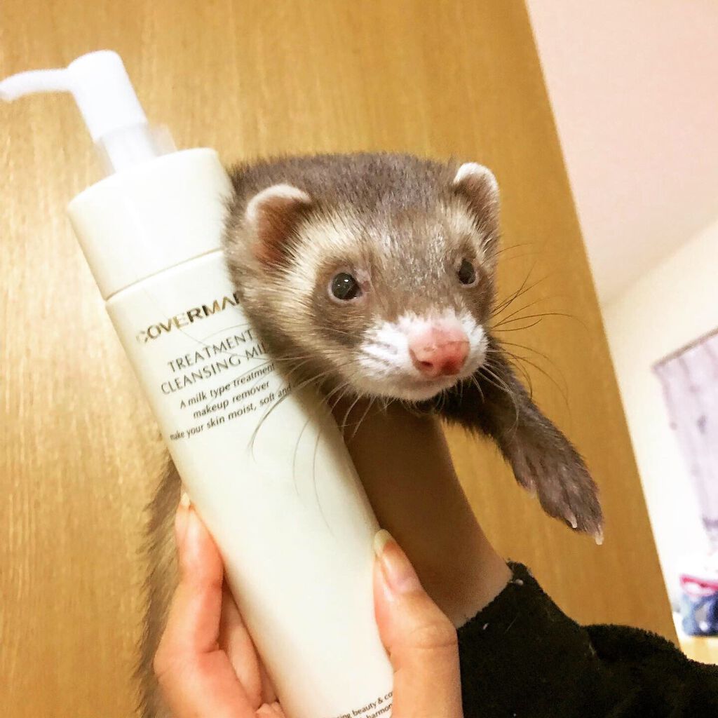 トリートメント クレンジング ミルク/COVERMARK/ミルククレンジングを使ったクチコミ(2枚目)