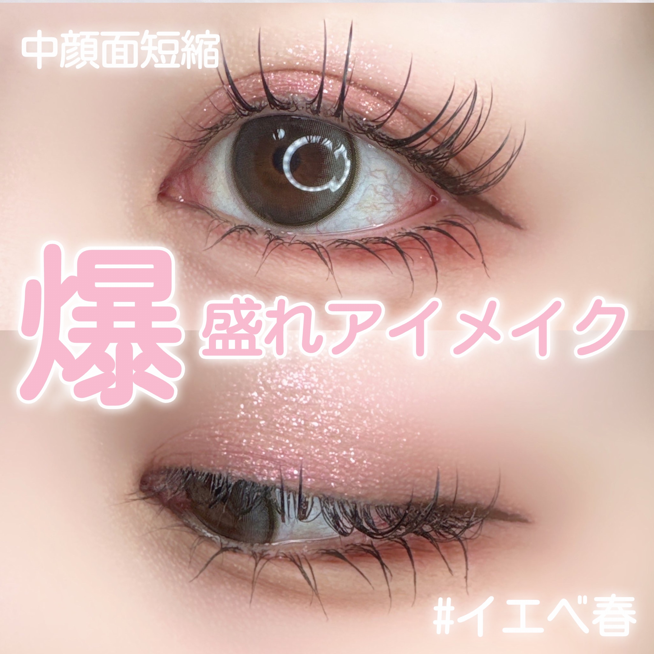 エクスプローラ12色 動物アイシャドウパレット/PERFECT DIARY/アイシャドウパレットを使ったクチコミ（1枚目）