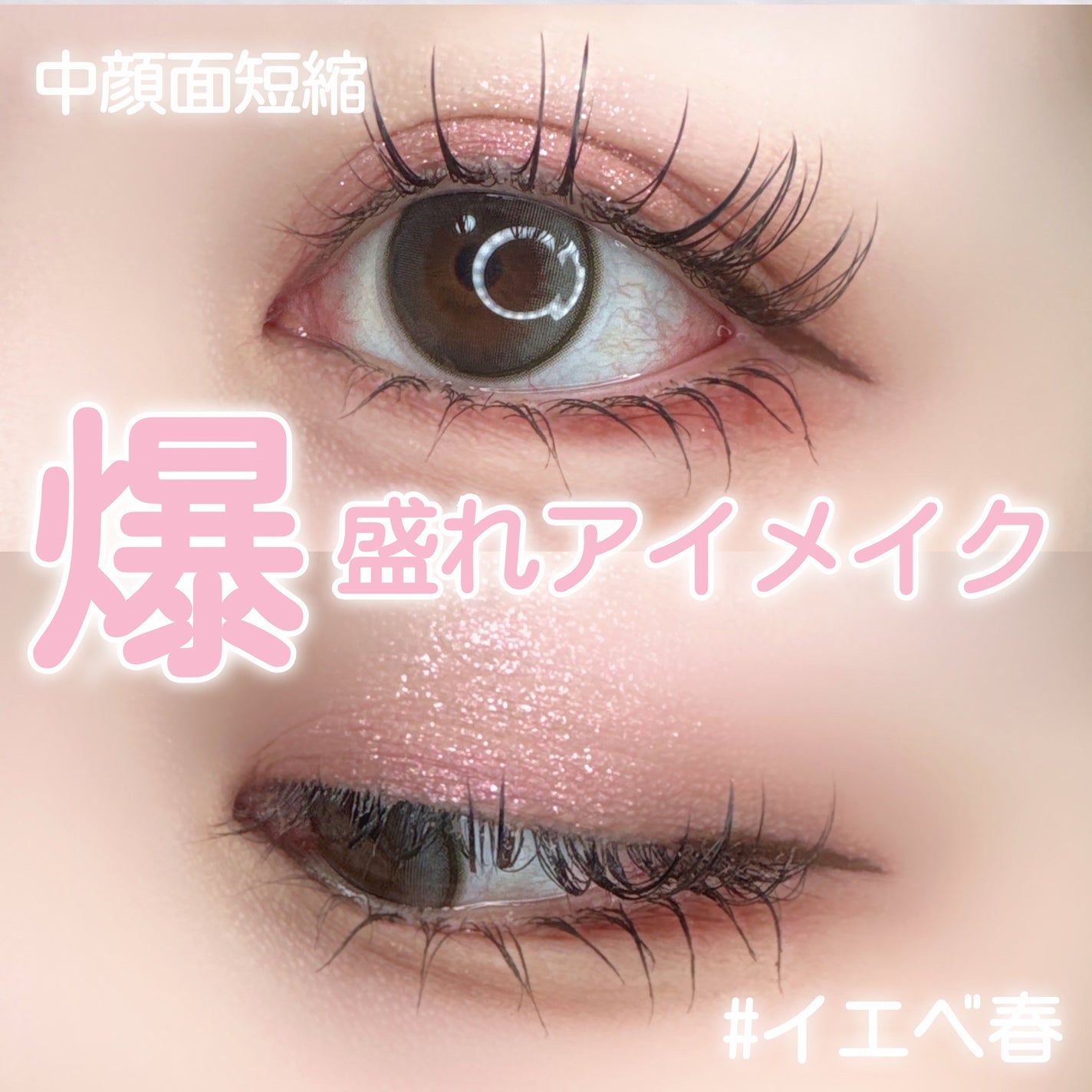 エクスプローラ12色 動物アイシャドウパレット/PERFECT DIARY/アイシャドウパレットを使ったクチコミ(1枚目)