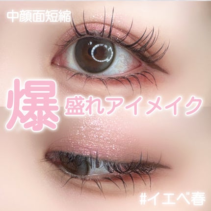 エクスプローラ12色 動物アイシャドウパレット/PERFECT DIARY/アイシャドウパレットを使ったクチコミ(1枚目)
