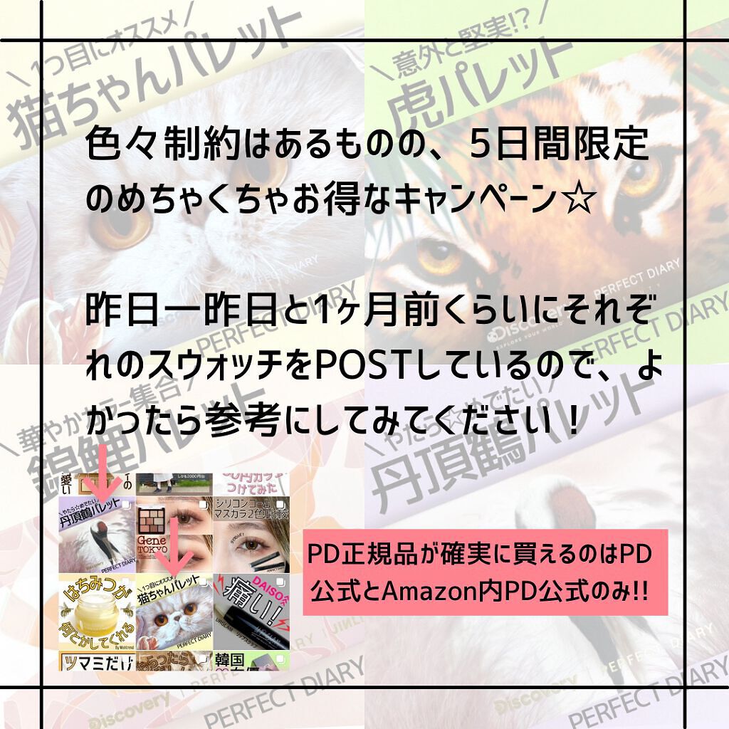 エクスプローラ12色 動物アイシャドウパレット/PERFECT DIARY/アイシャドウパレットを使ったクチコミ(5枚目)