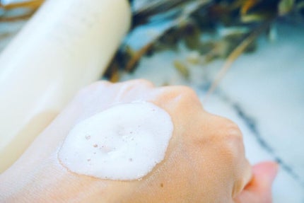 炭酸ホットクレンジング/肌ナチュール/その他洗顔料を使ったクチコミ(3枚目)