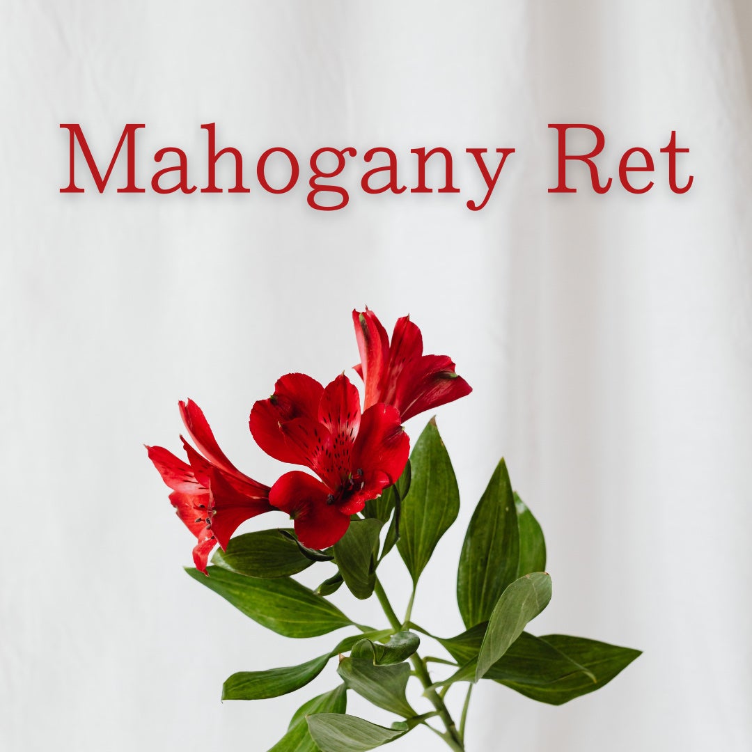 エテュセ アイエディション(カラーパレット)/ettusais/アイシャドウパレットを使ったクチコミ(1枚目)