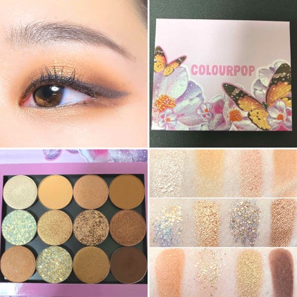 Pressed Powder Shadow /ColourPop/アイシャドウパレットを使ったクチコミ(1枚目)