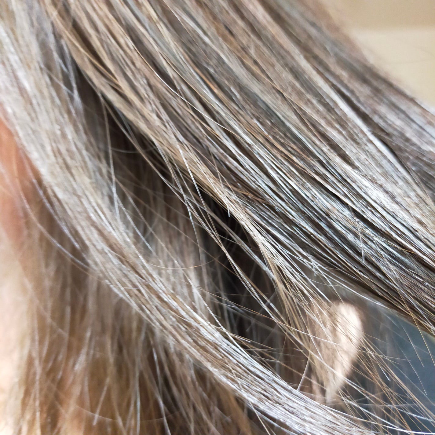 クレイクリームシャンプー(スムース)/cocone/市販シャンプーを使ったクチコミ(4枚目)