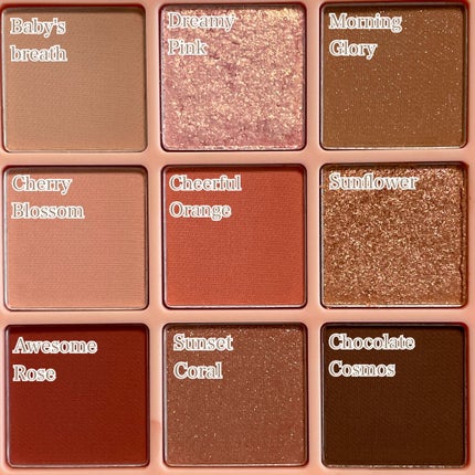 ワンピックアイシャドウパレット/APLIN/アイシャドウパレットを使ったクチコミ(3枚目)