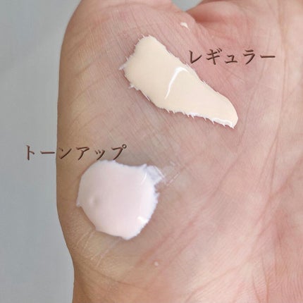 スキンプロテクトベース<皮脂くずれ防止>/プリマヴィスタ/化粧下地を使ったクチコミ(2枚目)