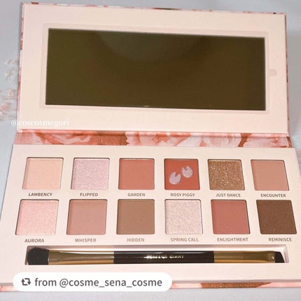 エクスプローラ12色 動物アイシャドウパレット/PERFECT DIARY/アイシャドウパレットを使ったクチコミ(5枚目)