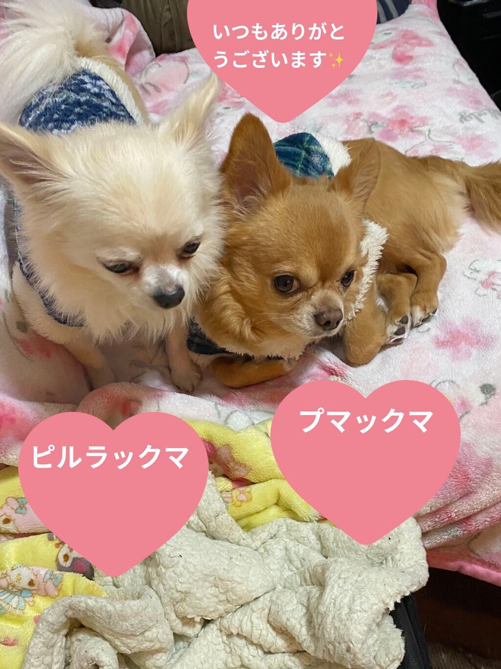 KTドレスアップネイル/ハローキティ/マニキュアを使ったクチコミ(7枚目)