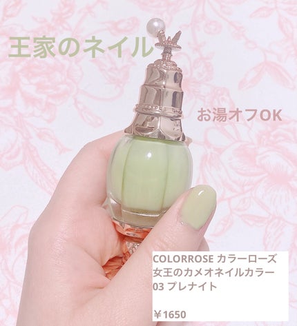 女王のカメオネイルカラー/COLORROSE/マニキュアを使ったクチコミ(1枚目)