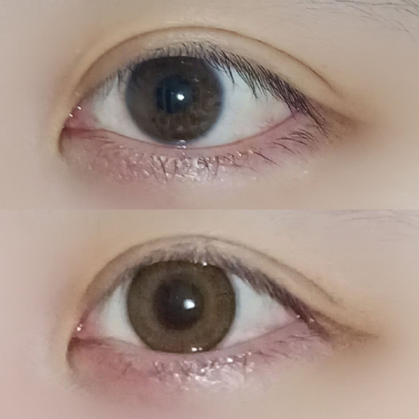 FLANMY 1day/FLANMY/ワンデー(1DAY)カラコンを使ったクチコミ(2枚目)