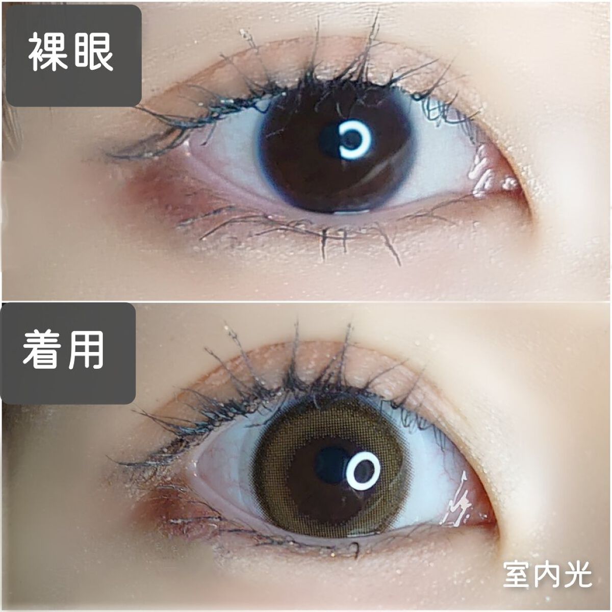 Glazed Krirtin/Hapa kristin/カラーコンタクトレンズを使ったクチコミ（3枚目）