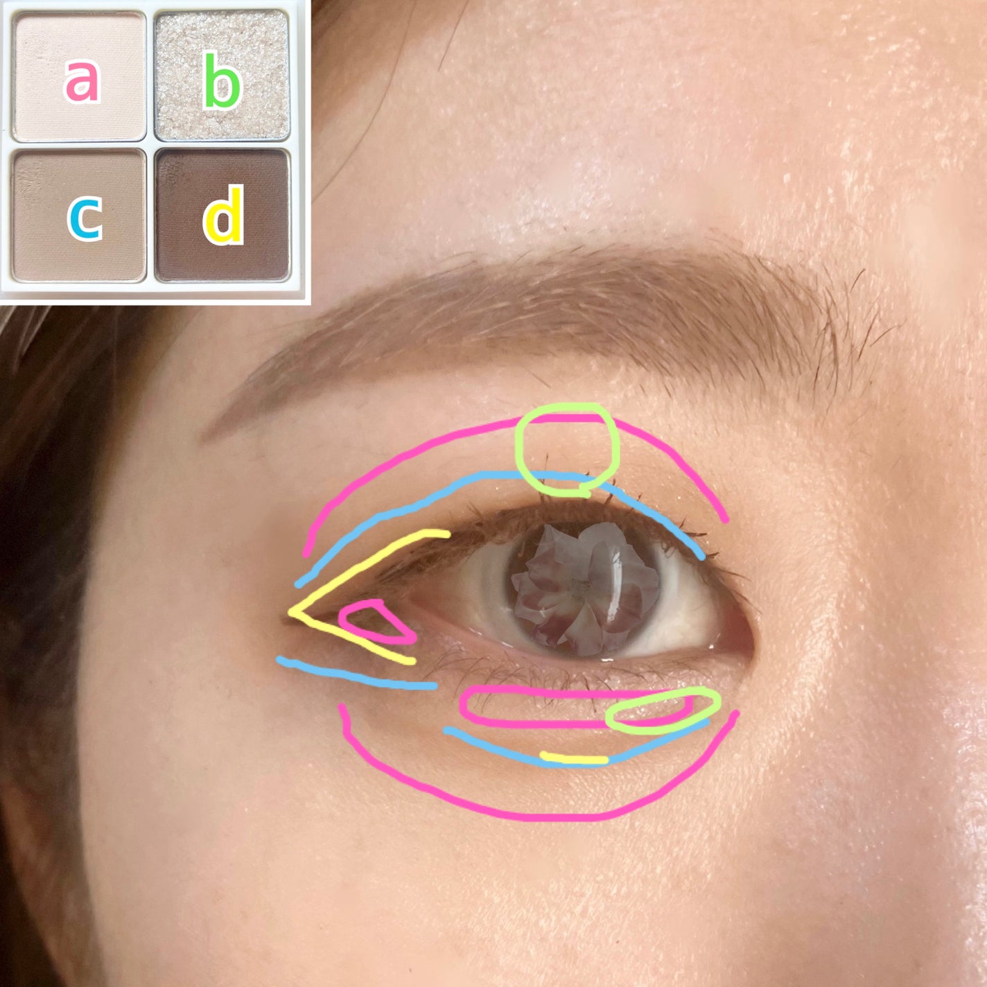 アンダーアイメーカー/dasique/アイシャドウパレットを使ったクチコミ(5枚目)