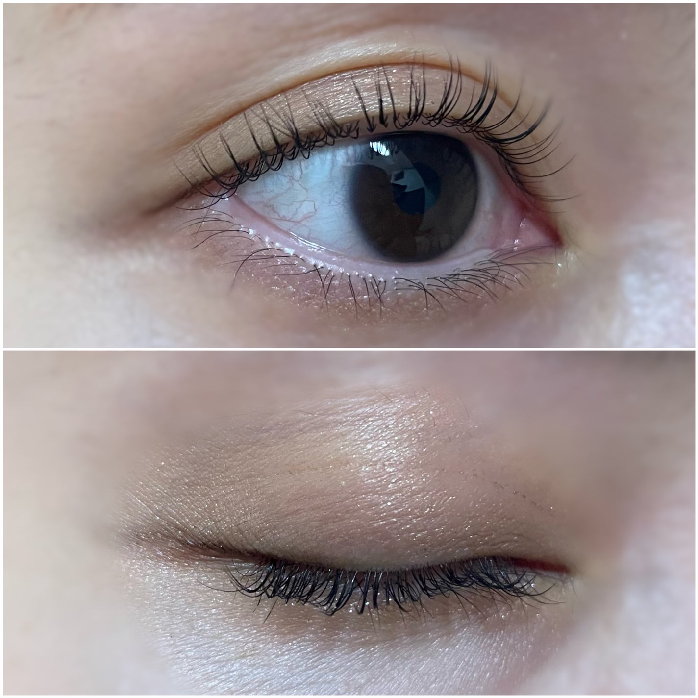 セルヴォーク ヴァティック アイパレット/Celvoke/アイシャドウパレットを使ったクチコミ(5枚目)