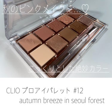 CLIO プロ アイ パレットのクチコミ「秋のピンクメイク捗る…♡
CLIO プロアイパレット #12
autumn breeze in.....」（1枚目）