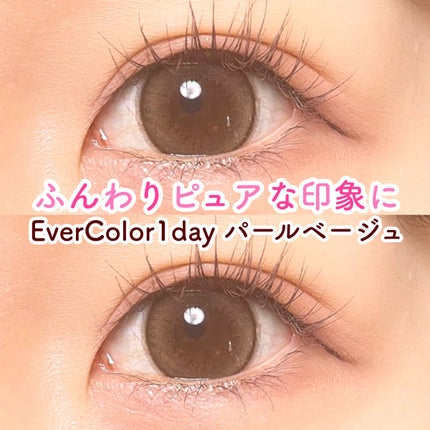 エバーカラーワンデー ナチュラル/エバーカラー/ワンデー(1DAY)カラコンを使ったクチコミ(1枚目)
