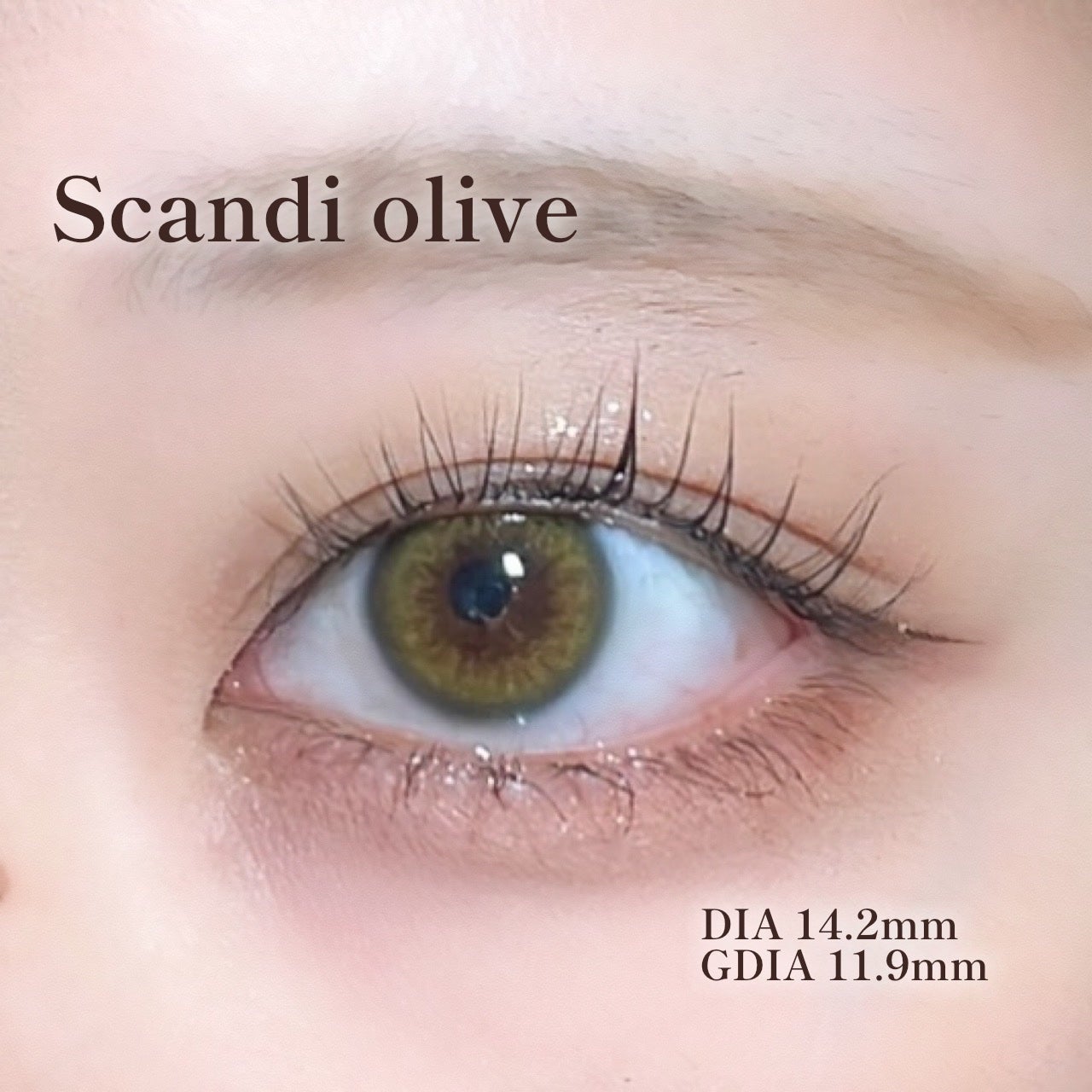 Ending 1day/OLENS/ワンデー(1DAY)カラコンを使ったクチコミ(8枚目)