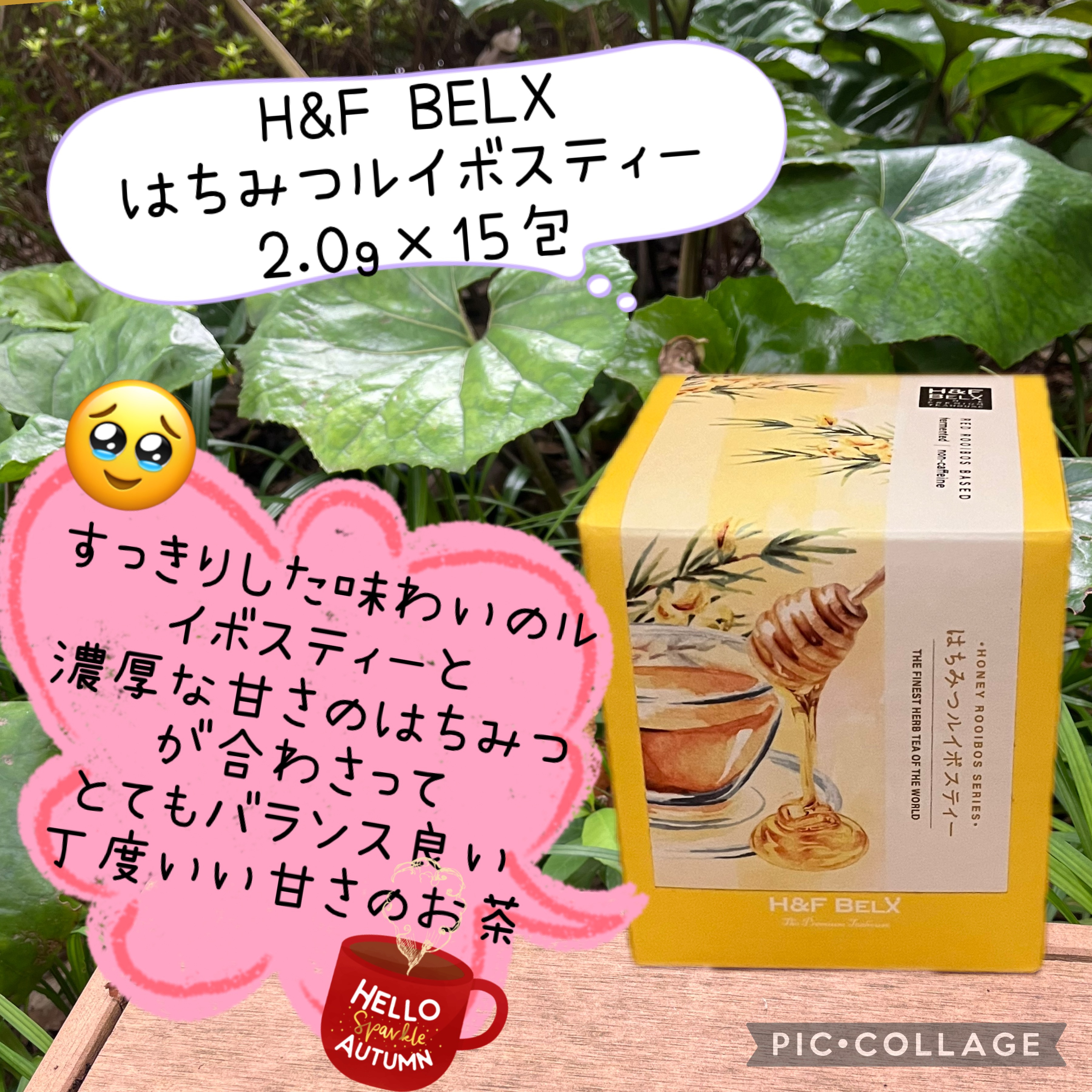 はちみつルイボスティー /H&F BELX/美容ドリンクを使ったクチコミ（1枚目）