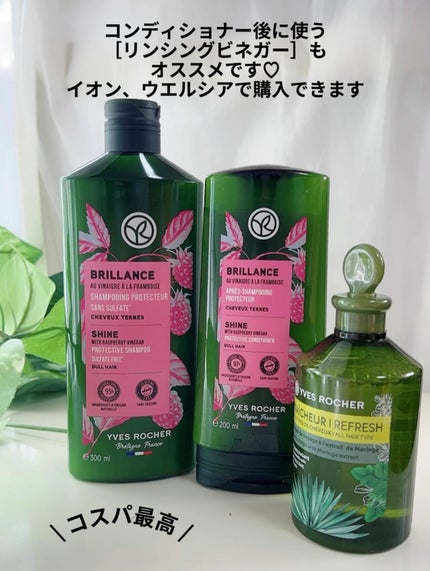 ヘルシースカルプ シャンプー/コンディショナー 〈シルキーシャイン〉/イヴ・ロシェ/市販シャンプーを使ったクチコミ(6枚目)