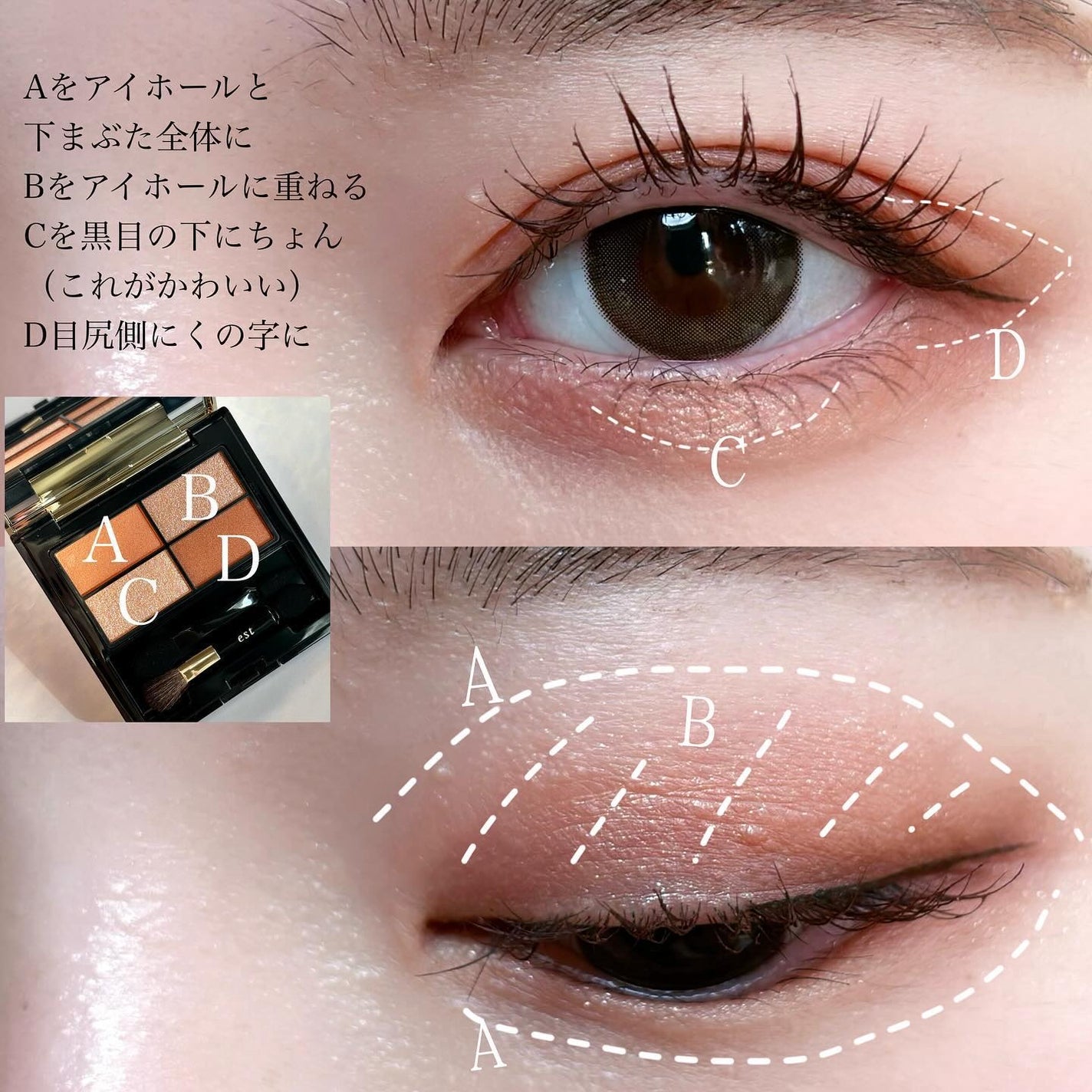 ピュア クラリティ シアー アイシャドウ/est/アイシャドウパレットを使ったクチコミ(4枚目)