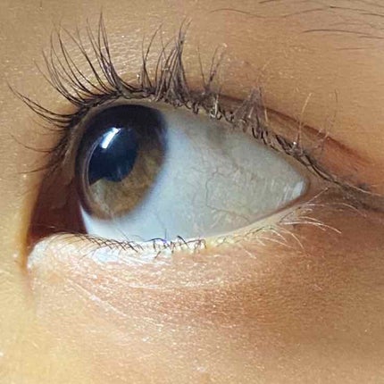 UR GLAMãBLOOMING EYE COLOR PALETTE/U R GLAM/ã¢ã€ã·ã£ããŠãã¬ããã䜿ã£ãã¯ãã³ãïŒ1æç®ïŒ