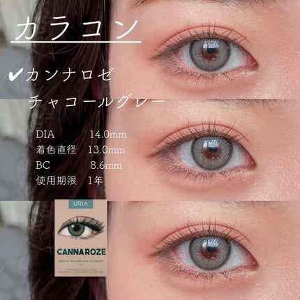 シャドウパレット/dasique/アイシャドウパレットを使ったクチコミ(2枚目)