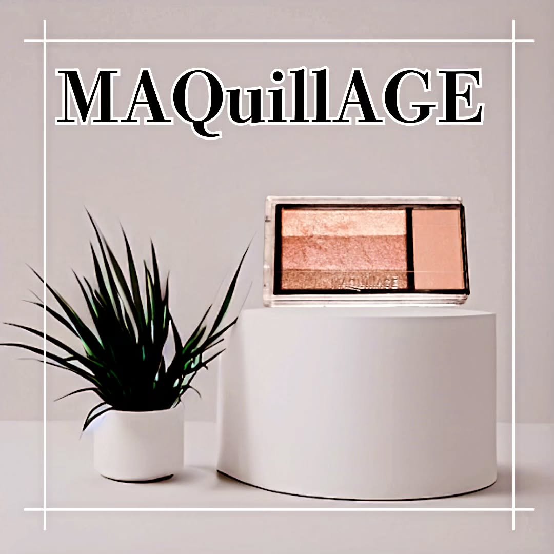 ドラマティックアイカラー (マルチ)/マキアージュ/マルチパレットを使ったクチコミ（1枚目）